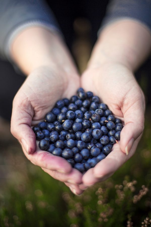 Blueberries from Finland - via Woolenberry